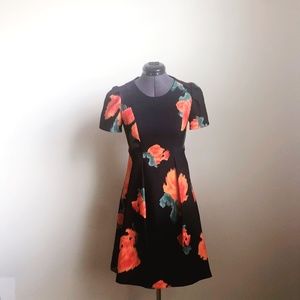 Anthropologie McGinn Poppy Palette  Dress